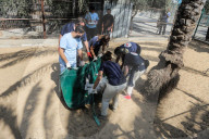 NEWS - Tierschützer retten verwahrloste Tiere aus dem Zoo in Gaza