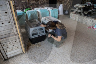 NEWS - Tierschützer retten verwahrloste Tiere aus dem Zoo in Gaza