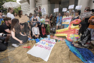 NEWS - London: Burkini Befürworter demonstrieren vor französischer Botschaft