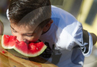 FEATURE - Wassermelone essen Wettbewerb in Spanien