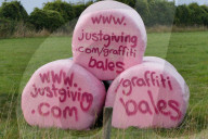NEWS - Bemalte Heuballen gegen Brustkrebs in England
