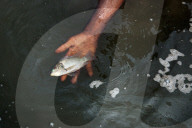 REPORTAGE - Bangladesh: Giftige Umwelt in Dhaka