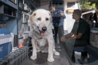 NEWS - Erdbeben in Italen: Räumungsarbeiten in Amatrice 