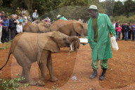 FEATURE - Elefanten in Kenia