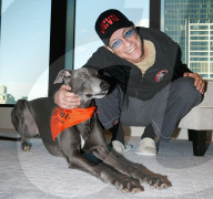 PEOPLE - Tierfreund: Jean Claude Van Damme spendet 30'000 Dollar fŸr Vierbeiner