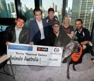 PEOPLE - Tierfreund: Jean Claude Van Damme spendet 30'000 Dollar fŸr Vierbeiner