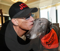PEOPLE - Tierfreund: Jean Claude Van Damme spendet 30'000 Dollar fŸr Vierbeiner