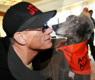 PEOPLE - Tierfreund: Jean Claude Van Damme spendet 30'000 Dollar fŸr Vierbeiner