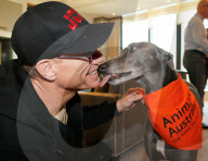 PEOPLE - Tierfreund: Jean Claude Van Damme spendet 30'000 Dollar fŸr Vierbeiner