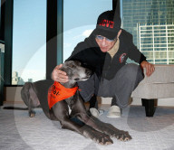 PEOPLE - Tierfreund: Jean Claude Van Damme spendet 30'000 Dollar fŸr Vierbeiner