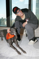 PEOPLE - Tierfreund: Jean Claude Van Damme spendet 30'000 Dollar fŸr Vierbeiner