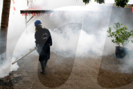 NEWS - Singapur: Prävention gegen Zika-Virus