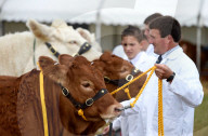 FEATURE - Die Dorset County Show 