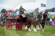 FEATURE - Die Dorset County Show 