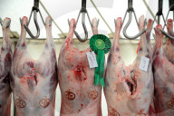FEATURE - Die Dorset County Show 