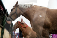 FEATURE - Die Dorset County Show 