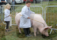 FEATURE - Die Dorset County Show 