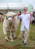 FEATURE - Die Dorset County Show 