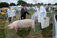 FEATURE - Die Dorset County Show 