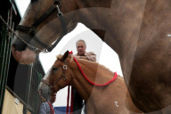 FEATURE - Die Dorset County Show 