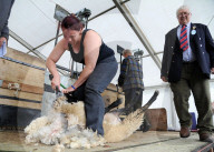FEATURE - Die Dorset County Show 
