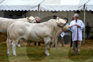 FEATURE - Die Dorset County Show 