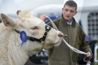 FEATURE - Die Dorset County Show 
