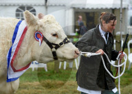 FEATURE - Die Dorset County Show 