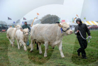 FEATURE - Die Dorset County Show 