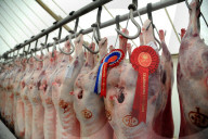 FEATURE - Die Dorset County Show 