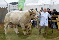 FEATURE - Die Dorset County Show 