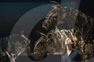 FEATURE - 'War Horse' Versteigerung bei Bonhams in London