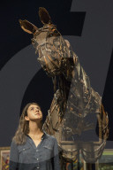 FEATURE - 'War Horse' Versteigerung bei Bonhams in London