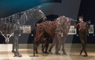 FEATURE - 'War Horse' Versteigerung bei Bonhams in London