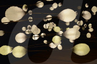NEWS - London Design Biennale 
