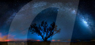 FEATURE - Sternenhimmel in der Wildnis