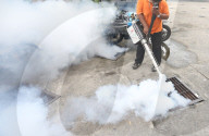 NEWS - Thailand bekämpft den Zika Virus