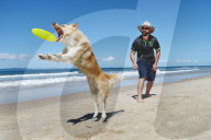 FEATURE - Der Hund liebt Frisbee