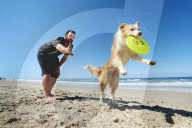 FEATURE - Der Hund liebt Frisbee