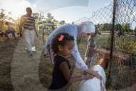 REPORTAGE - Muslimische Gemeinde feiert Eid al Adha in Virginia