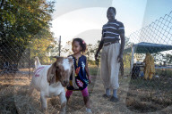 REPORTAGE - Muslimische Gemeinde feiert Eid al Adha in Virginia