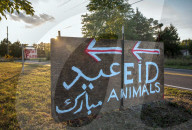 REPORTAGE - Muslimische Gemeinde feiert Eid al Adha in Virginia