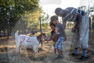 REPORTAGE - Muslimische Gemeinde feiert Eid al Adha in Virginia