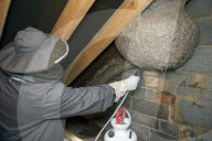 FEATURE - Gigantisches Wespennest
