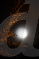FEATURE - Riesiger Vollmond