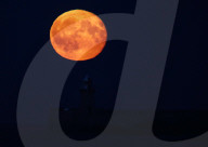 FEATURE - Riesiger Vollmond