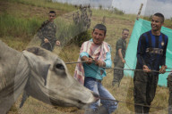 NEWS - Kolumbien: Impressionen aus dem FARC-Camp in El Diamante