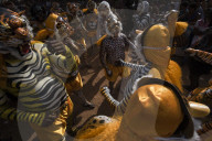 FEATURE - Play of the Tiger