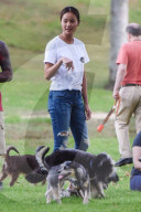 PEOPLE - Jamie Chung spielt mit den Hunden im Park