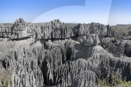 REPORTAGE - Madagascar 